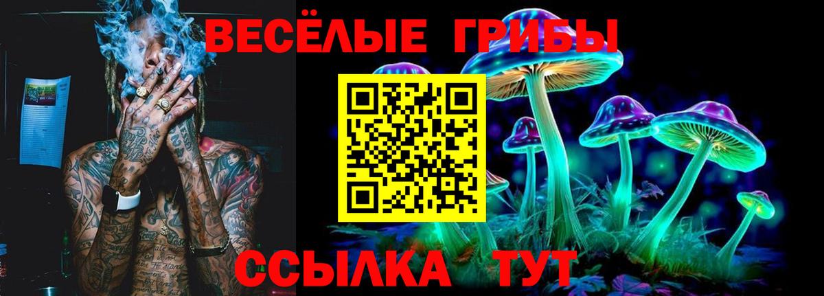 Сергиев Посад  Псилоцибиновые грибы GOLDEN TEACHER  Вход с VPN 